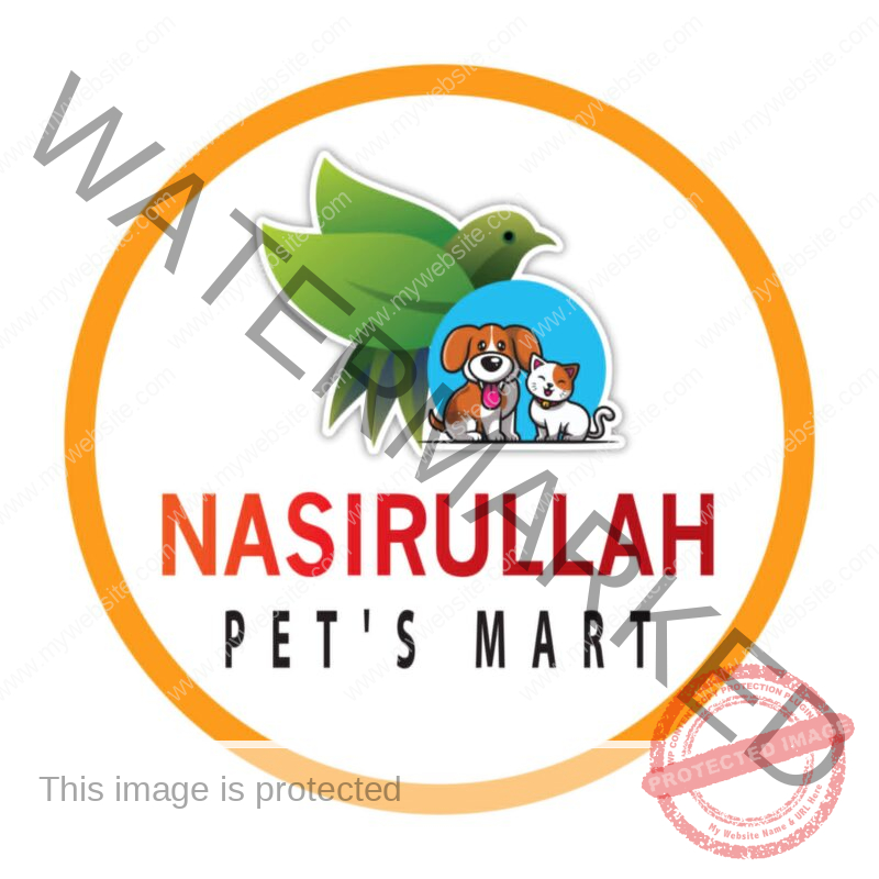 nasirullahpetsmart